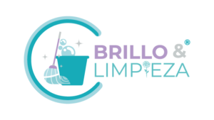 BRILLOLOGOPWEB-300×169 BRILLOLOGOPWEB-300x169